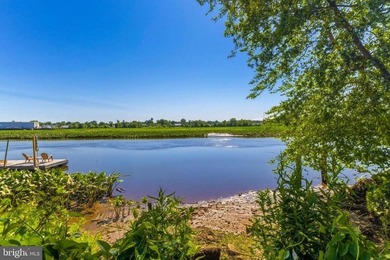 **WATERVIEW** Enjoy LIFE on the WATER here in this lovely 4 - photo 1