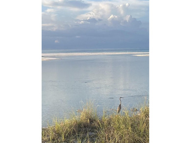 ***300,000.00 PRICE IMPROVEMENT**BUILD YOUR DREAM HOME BY THE - photo 9