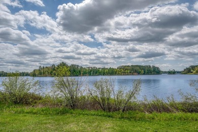 Discover your dream home on the coveted Spider Lake Chain! This - photo 33