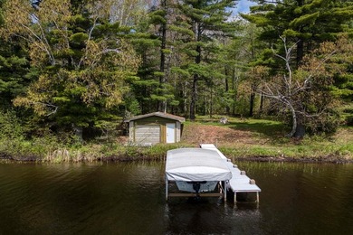 Discover your dream home on the coveted Spider Lake Chain! This - photo 34