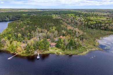 Discover your dream home on the coveted Spider Lake Chain! This - photo 40