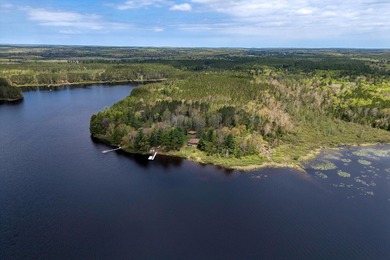 Discover your dream home on the coveted Spider Lake Chain! This - photo 41