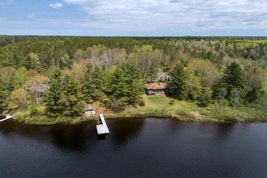 Discover your dream home on the coveted Spider Lake Chain! This - photo 42