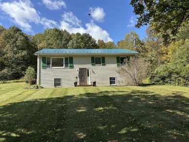 Lake Home For Sale in Roxbury, New York