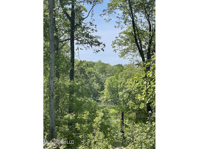 **NEW PRICE - $16,000** .59 Acres with Scenic Lake Views in - photo 2