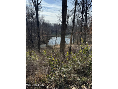 **NEW PRICE - $16,000** .59 Acres with Scenic Lake Views in - photo 3