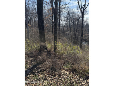 **NEW PRICE - $16,000** .59 Acres with Scenic Lake Views in - photo 4