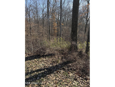 **NEW PRICE - $16,000** .59 Acres with Scenic Lake Views in - photo 5