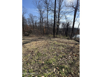 **NEW PRICE - $16,000** .59 Acres with Scenic Lake Views in - photo 6