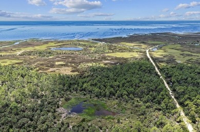 Rare 24 acres of pristine Old Florida land, with stunning - photo 13