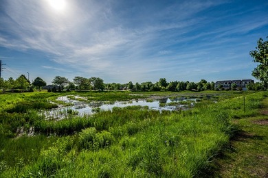 Meadow Ridge, beautiful townhomes in Aurora in school district - photo 24