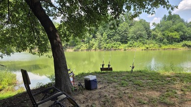 Your dream lakefront retreat on stunning Greers Ferry Lake is - photo 30