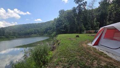 Your dream lakefront retreat on stunning Greers Ferry Lake is - photo 32