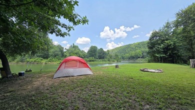 Your dream lakefront retreat on stunning Greers Ferry Lake is - photo 33