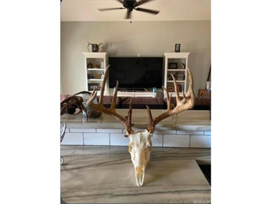 Your dream lakefront retreat on stunning Greers Ferry Lake is - photo 47