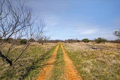 731+/- Acre North Texas Ranch Near Possum Kingdom Lake Located - photo 12