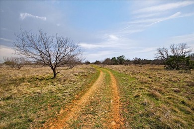 731+/- Acre North Texas Ranch Near Possum Kingdom Lake Located - photo 14
