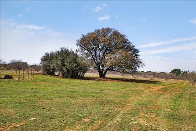 731+/- Acre North Texas Ranch Near Possum Kingdom Lake Located - photo 17