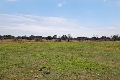 731+/- Acre North Texas Ranch Near Possum Kingdom Lake Located - photo 18