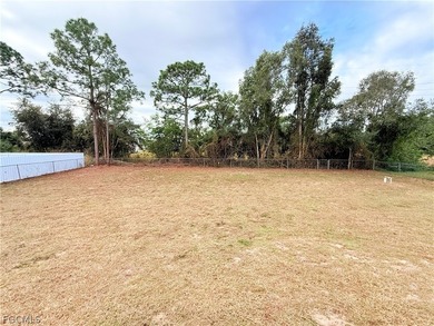 Welcome to this move-in ready 3-bedroom, 2-bath single-family - photo 22