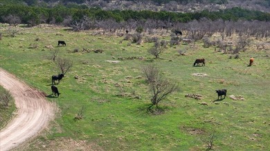 731+/- Acre North Texas Ranch Near Possum Kingdom Lake Located - photo 29