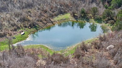 731+/- Acre North Texas Ranch Near Possum Kingdom Lake Located - photo 30