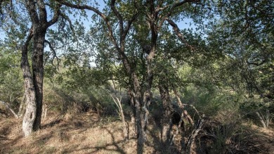 Lake Lot For Sale in Granite Shoals, Texas