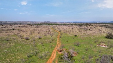 731+/- Acre North Texas Ranch Near Possum Kingdom Lake Located - photo 39