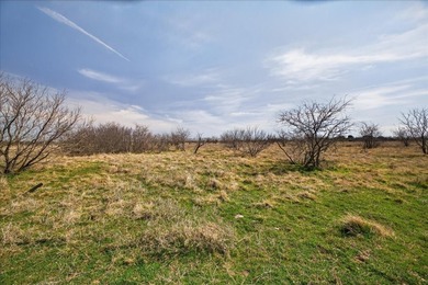 731+/- Acre North Texas Ranch Near Possum Kingdom Lake Located - photo 40