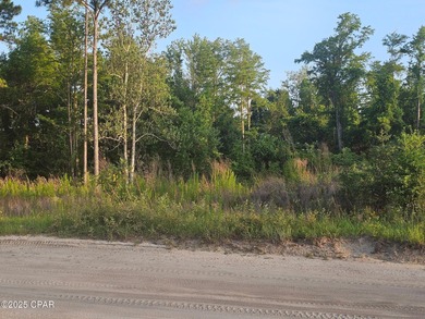 Deer Point Lake Lot Sale Pending in Youngstown Florida