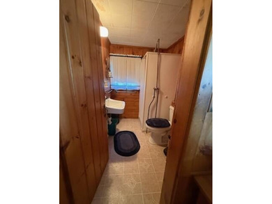 Charming 1953 Cottage in a Prime Long Lake Location! Step back - photo 19