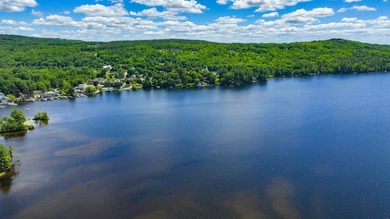 Charming 1953 Cottage in a Prime Long Lake Location! Step back - photo 30