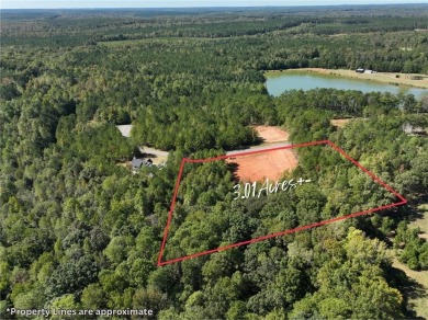 Lake Acreage For Sale in Opelika, Alabama