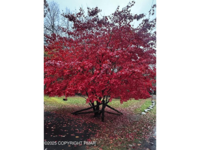 Extremely RARE opportunity to become a Share Holder & Homeowner