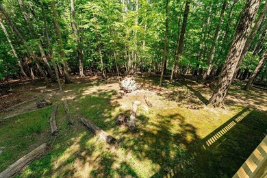Nestled in the heart of Massanutten, this charming cabin offers - photo 46