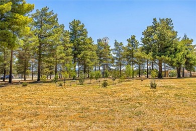 49585 Flightline Way - photo 13