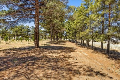 49585 Flightline Way - photo 14