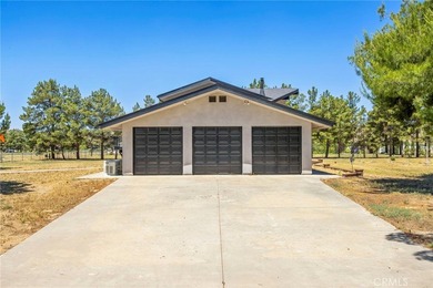 49585 Flightline Way - photo 15