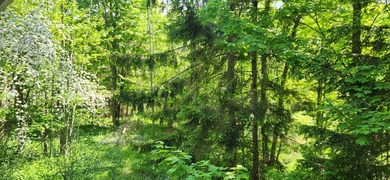 Get your foot into Door County! Make this unit your new vacation - photo 17