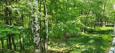 Get your foot into Door County! Make this unit your new vacation - photo 18