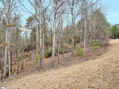 Build your dream home on this 1.86-acre wooded homesite in the - photo 4