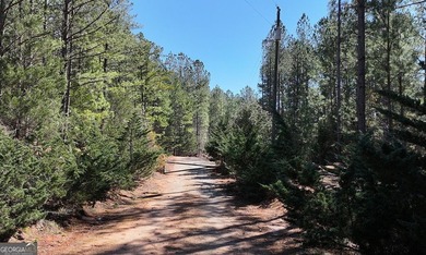 Lot 11 - Magnificent 4.88 acre lot with over 240 feet of road - photo 11