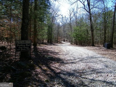 Lot 11 - Magnificent 4.88 acre lot with over 240 feet of road - photo 12