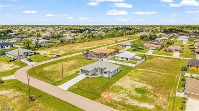 Welcome to your dream home in Cape Coral! This stunning single - photo 28