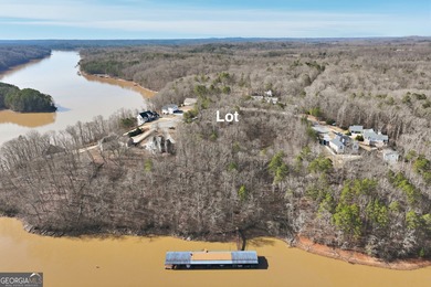 Opportunities like this are becoming incredibly rare on Lake - photo 6