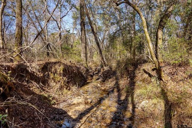 Prime 68.36-acre tract strategically positioned along I-20 with - photo 11