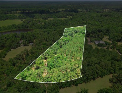 (private lake, pond, creek) Acreage For Sale in Tallahassee Florida