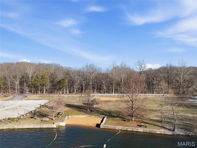 Discover a rare opportunity to own the last buildable lake-view - photo 20