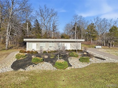 Discover a rare opportunity to own the last buildable lake-view - photo 25