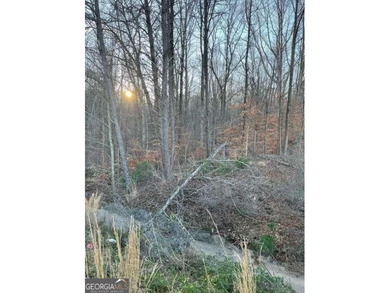 Lake Lanier Commercial For Sale in Gainesville Georgia